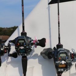 へいみつ丸 釣果