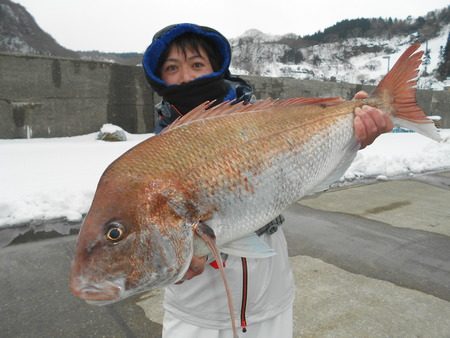 こうゆう丸 釣果