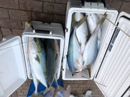 幸風（さちかぜ） 釣果