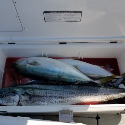 遊漁船　ニライカナイ 釣果