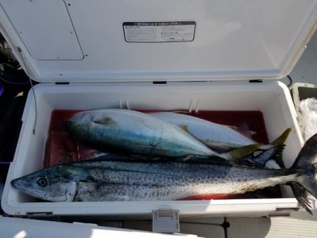 遊漁船　ニライカナイ 釣果