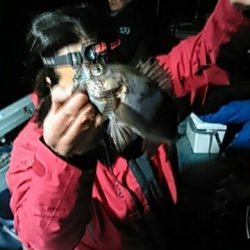 フィッシングガイド りょう 釣果