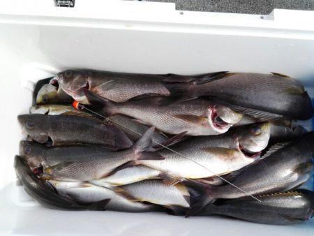 第二大福丸 釣果