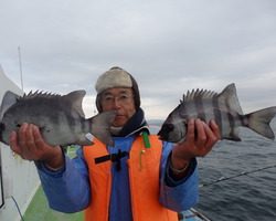 久里浜黒川本家 釣果