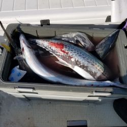 遊漁船　ニライカナイ 釣果