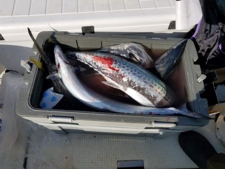 遊漁船　ニライカナイ 釣果