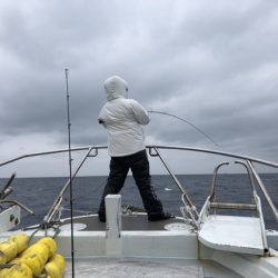 幸風（さちかぜ） 釣果