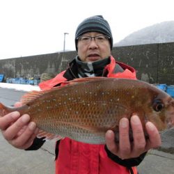 大進丸(新潟) 釣果