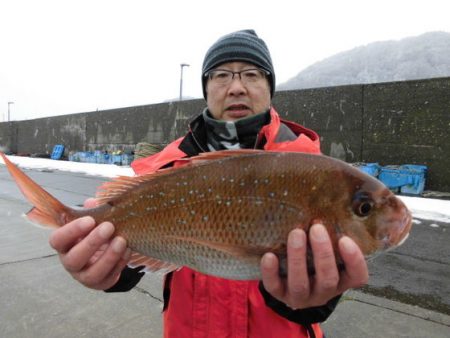 大進丸(新潟) 釣果