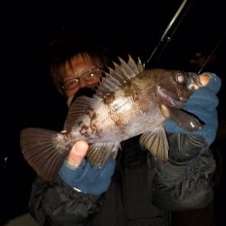 Magic（マジック） 釣果