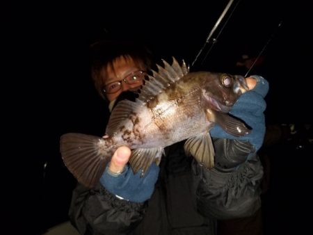 Magic（マジック） 釣果