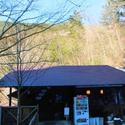 小菅トラウトガーデン 釣果