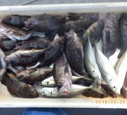 石川丸 釣果