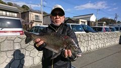 まこと渡船 釣果