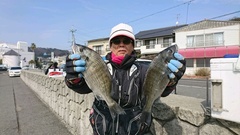 まこと渡船 釣果