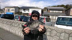 まこと渡船 釣果