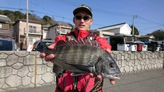 まこと渡船 釣果