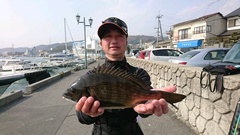 まこと渡船 釣果