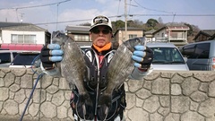 まこと渡船 釣果