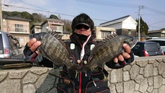 まこと渡船 釣果