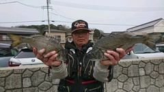 まこと渡船 釣果