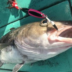 広進丸 釣果