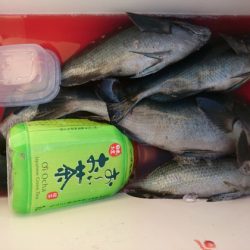千津丸 釣果