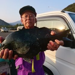 千津丸 釣果