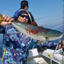 遊漁船　ニライカナイ 釣果