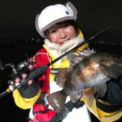 シーマジカル 釣果