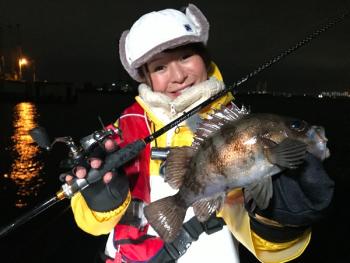 シーマジカル 釣果