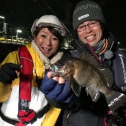 シーマジカル 釣果