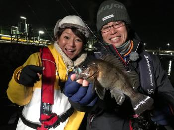 シーマジカル 釣果