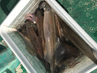 なかくに丸 釣果