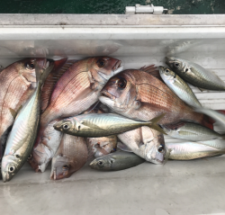 なかくに丸 釣果