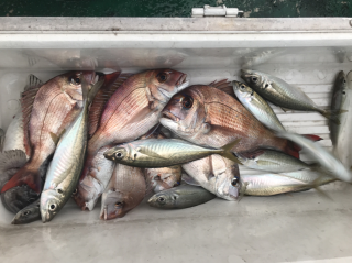 なかくに丸 釣果