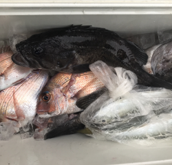 なかくに丸 釣果