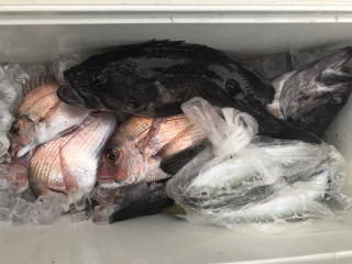 なかくに丸 釣果