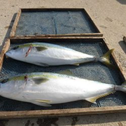 大進丸（愛知） 釣果