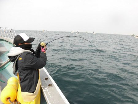 大進丸(愛知) 釣果