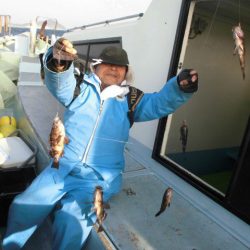 大進丸（愛知） 釣果