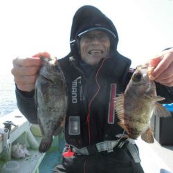 大進丸（愛知） 釣果