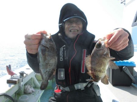 大進丸（愛知） 釣果