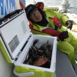 大進丸（愛知） 釣果