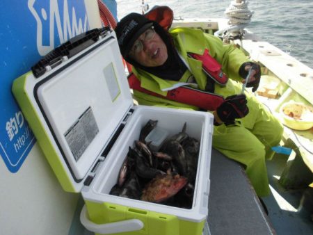 大進丸（愛知） 釣果
