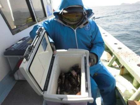 大進丸（愛知） 釣果