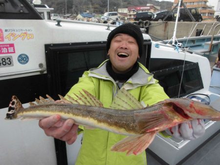 大進丸（愛知） 釣果
