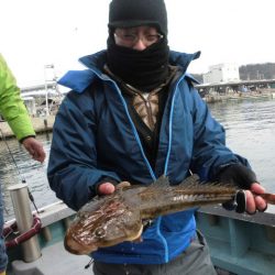 大進丸（愛知） 釣果