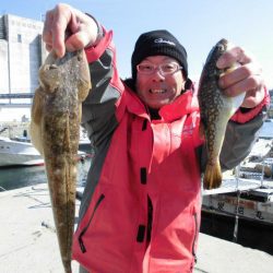 大進丸（愛知） 釣果