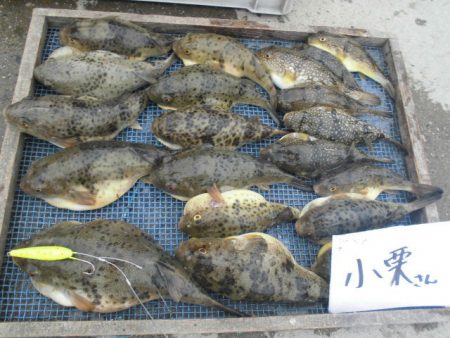 大進丸（愛知） 釣果